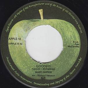 SAP Hopkin - Goodbye NED SA.jpg