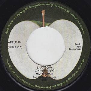 SAP Hopkin - Goodbye NED SB.jpg
