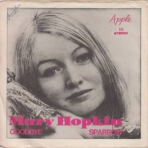 SAP Hopkin Goodbye SWEDEN HB.jpg